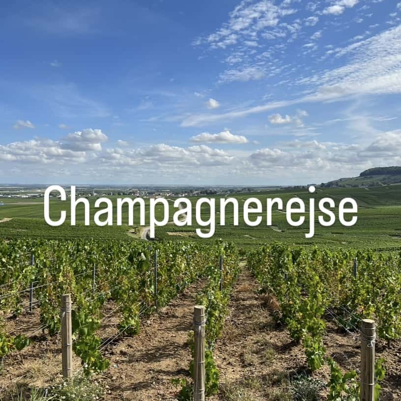 Champagnerejse 2025